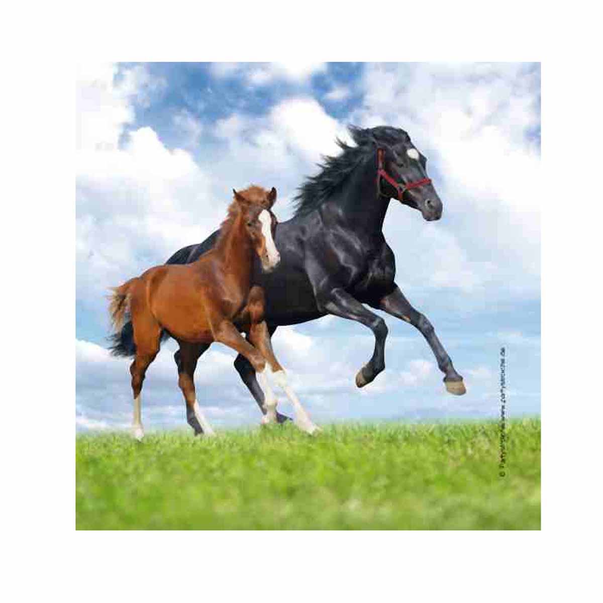 Pferd mit Fohlen Servietten 20 Stück