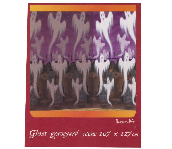 Gespenster-Dekofolie 1.07x1.27 m