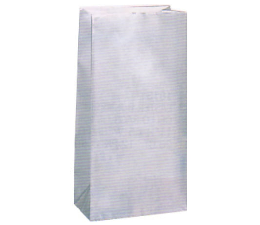 Geschenktüten Silber-Metallic 10St.