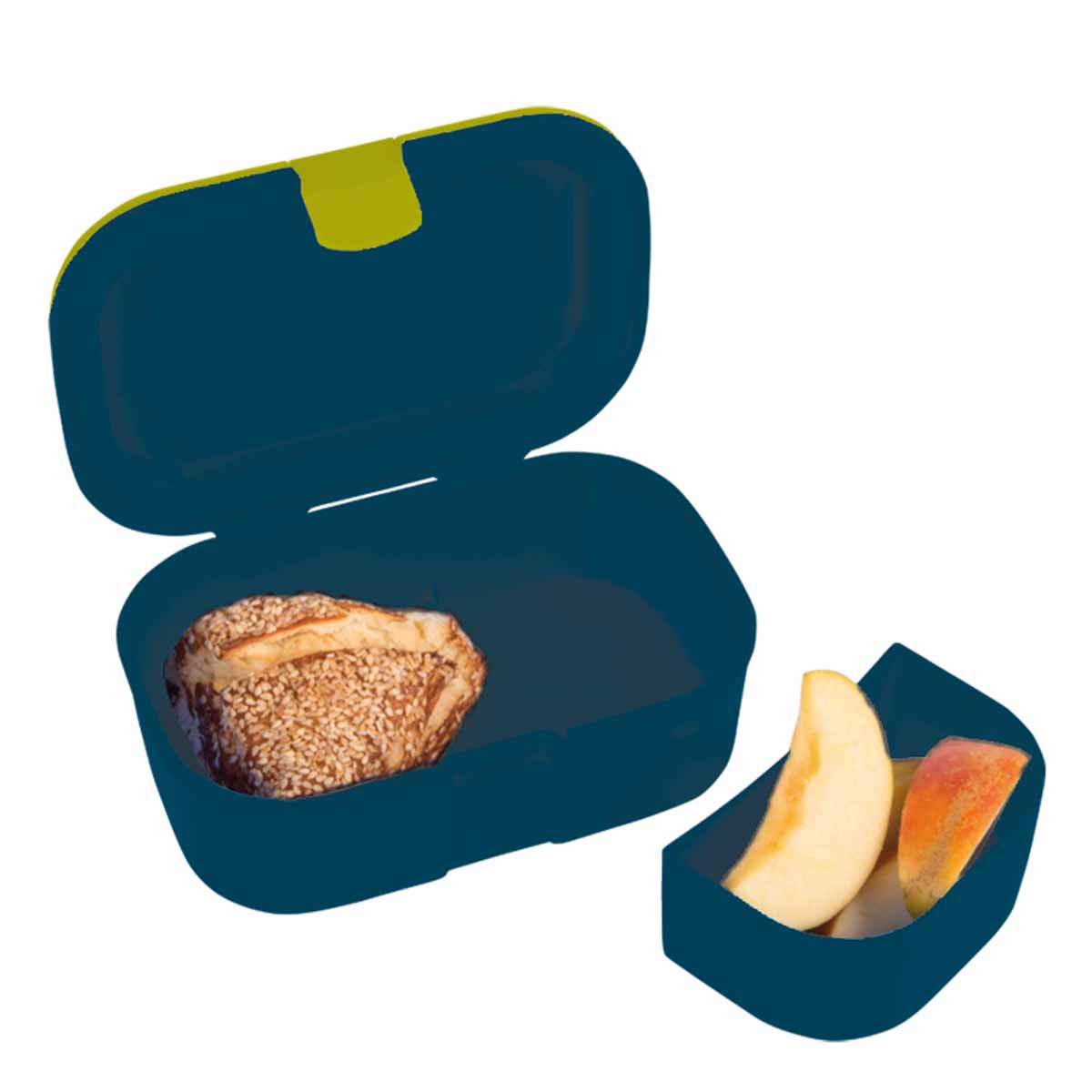 Lunchbox Dinosaurier T-Rex