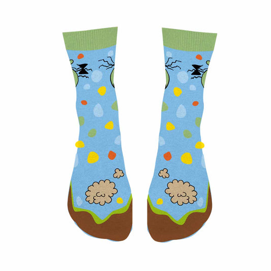 Olchis Socken