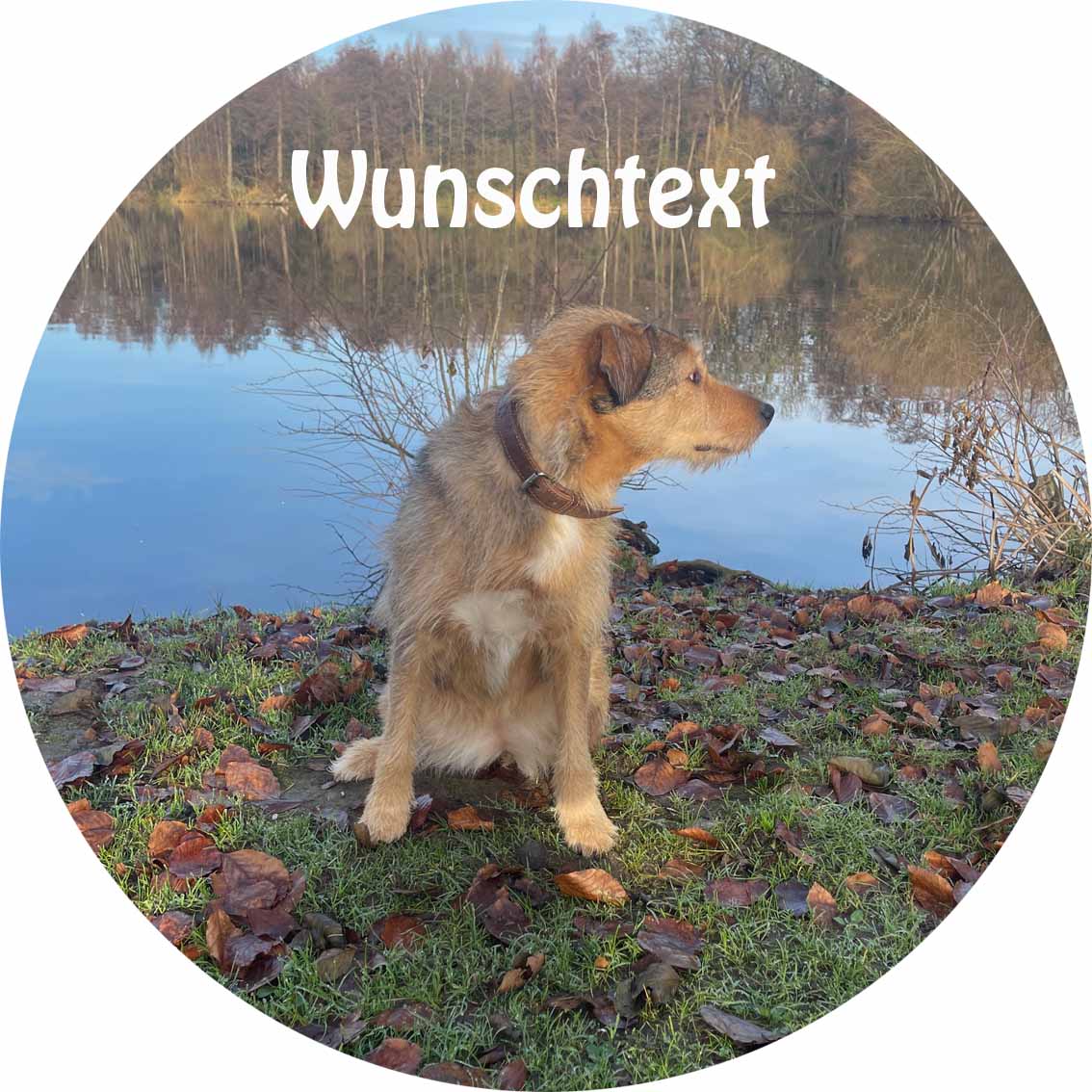 Essbarer Tortenaufleger Ihr Hundefoto mit WUNSCHTEXT