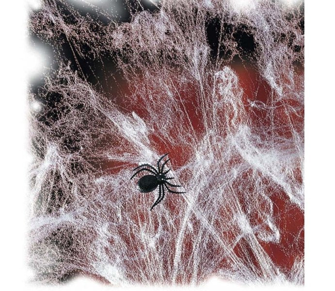 Spinnweben mit Spinne 20g